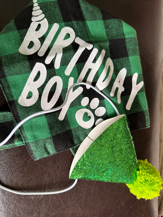 Шалче и шапка за домашен любимец "Birthday boy"